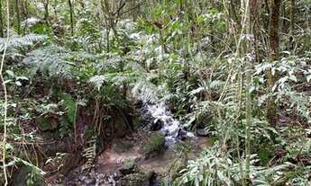 Imagem 14: Terreno para agricultura com 60.500m² ou 2,5 alqueires