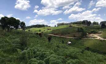 Imagem 4: Terreno na Barragem do Salto em São Francisco de Paula!
