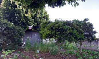 Imagem 3: Lote 92B/com casa - Borda do Campo/ São José dos Pinhais