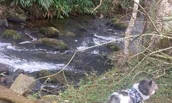 Imagem 6: Chácara na estrada do Bonsucesso no Bairro Guirra Permuta SJC