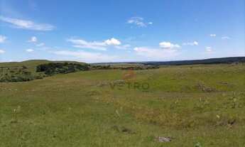 Imagem 7: Sítio na Várzea do Cedro em São Francisco de Paula!