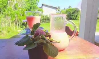 Imagem: Praia do Forte - Temporada