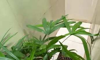 Imagem 5: Casa para venda tem 120 metros quadrados com 3 quartos em Vila Formosa - São Paulo - SP