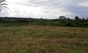 Imagem 5: FAZENDA À VENDA EM TUCURUÍ - PA - 610 HECTARES (DUPLA APTIDÃO