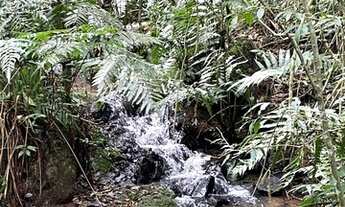 Imagem 12: Terreno para agricultura com 60.500m² ou 2,5 alqueires