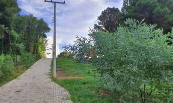 Imagem 3: Sítio na Colônia Santa Bernardina em Pelotas!