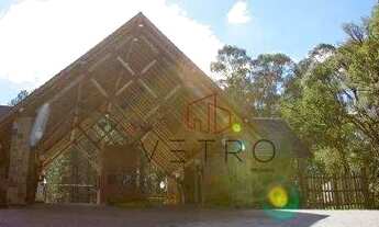 Imagem 5: Terreno no bairro Residencial Pinheiro Grosso em Canela!