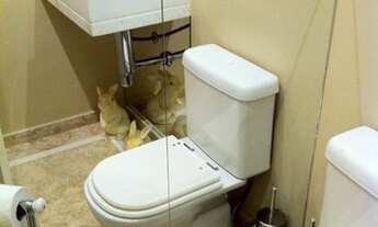 Imagem 4: Apartamento com 3 dormitórios à venda, 261 m² por R$ 1.700.000 - Morumbi - São Paulo/SP