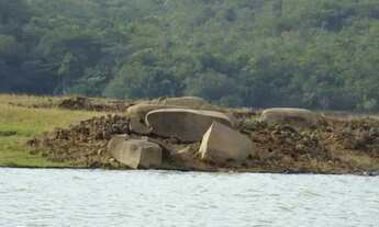 Imagem 5: Fazenda 200 hectares com 5 km de margem da represa em Três Marias
