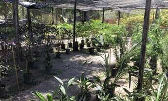 Imagem 2: Área para Venda em Camaçari, Camaçari