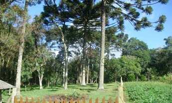 Imagem: Terreno no bairro Jardim das Fontes em Canela