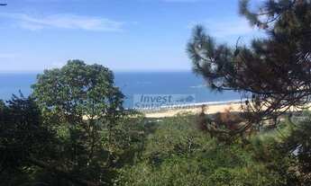 Imagem 5: Terreno à venda, 20000 m² por R$ 2.000.000,00 - Macacú - Garopaba/SC