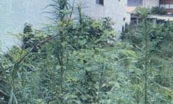 Imagem 3: Terreno comercial à venda, Jardim São Francisco, Cubatão