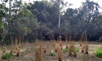 Imagem 3: Área Industrial à venda, 5700 m² por R$ 1.750.000 - Bairro da Mina - Itupeva/SP