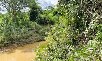 Imagem 3: Chácara em taquaral a 90 km de Goiânia 2 hectares com rio no fundo