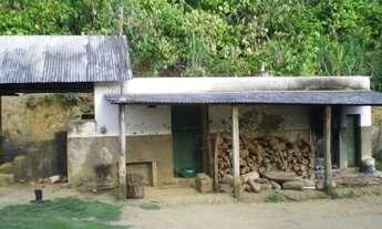 Imagem 4: Fazenda de 50ha no Vale do Jiquiriçá (cacau e gado