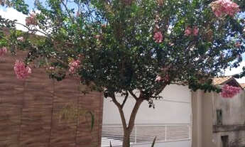 Imagem 4: Alugo Casa no Jardim Imperial