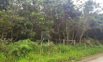 Imagem 3: Terreno para Venda em Corveta Araquari-SC - 1214