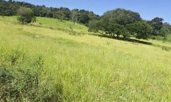 Imagem 2: Terreno 6 Hectares em Passa Tempo MG