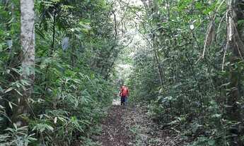 Imagem 5: Chácara em Rolante com riacho