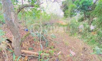 Imagem 5: Terreno-À VENDA-Condomínio Jardim das Paineiras-Itatiba-SP