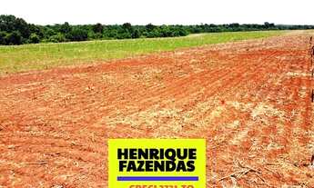 Imagem 3: Fazenda no Vale do Araguaia Tocantins