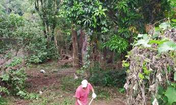 Imagem 5: Chácara para venda com 194 metros quadrados com 3 quartos em Sítio São José - Várzea Pauli