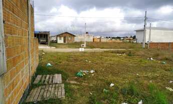 Imagem 4: Terreno para Venda em Porto Grande Araquari-SC - 1084