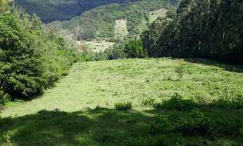 Imagem 6: Chácara em Rolante com riacho