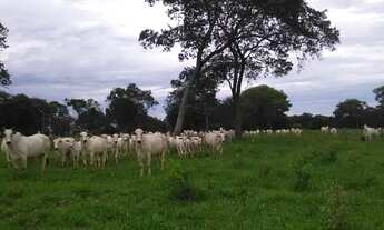 Imagem 4: C) Vendo Propriedade em SAJ - Ba