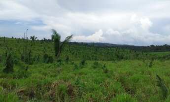 Imagem 3: Fazenda apui terra boa de agua capim etc