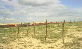 Imagem 3: Lote/Terreno para venda com 560 metros quadrados em Taíba - São Gonçalo do Amarante - CE