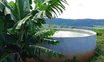 Imagem 6: CHACARA COM CASA,CAIXA DAGUA 45.000L/AREA 7000 METROS!!