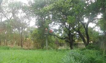 Imagem: Pindamonhangaba - Terreno Padrão - Santana