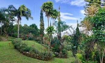 Imagem 6: Casa com 3 dormitórios à venda, 300 m² por R$ 4.000.000,00 - Village - Garopaba/SC