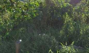 Imagem 6: 3 Terrenos na Praia de Bombinhas em Santa Catarina