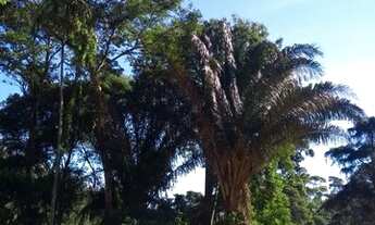 Imagem 2: REALIZE SEU SONHO OPORTUNIDADE UNICA