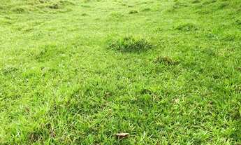 Imagem 4: VC - Vendo terreno para veraneio