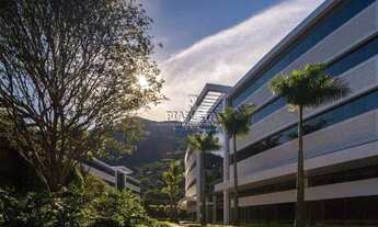 Imagem 2: Sala Comercial para locação, Saco Grande, Florianópolis -