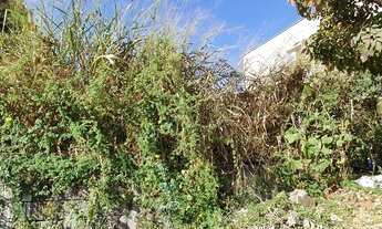 Imagem 5: Terreno à venda, 388 m² por R$ 191.000,00 - Vila Ondina - Mário Campos/MG