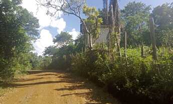Imagem 7: Vendo excelente fazenda em taperoa