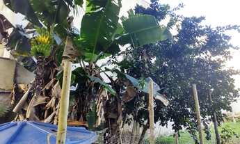 Imagem 5: Casa para aluguel tem 1200 metros quadrados com 3 quartos em Vargem Grande - Rio de Janeir