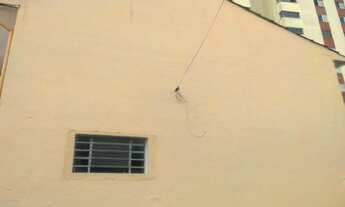 Imagem 7: Casa residencial para Locação Vila Firmiano Pinto