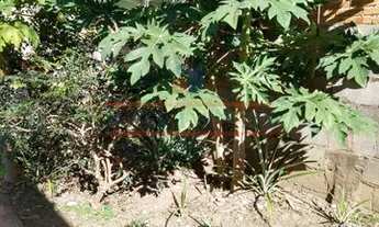 Imagem 7: CASA PARA VENDA - VILA AURORA - INDAIATUBA/SP