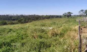 Imagem 2: SITIO COM 14 ALQUEIRES PAULISTA - Zona Rural - Cosmorama/SP