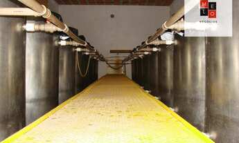 Imagem 2: Alambique à venda, 1 m² por R$ 8.490.000 - Zona Rural - Cunha/SP