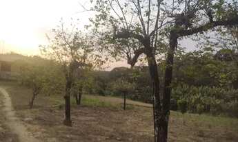 Imagem 3: MV20 - Lote 100% plano