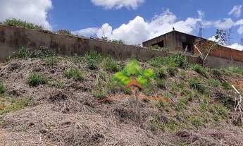 Imagem 5: Chácara à venda, 5300 m² por R$ 460.000,00 - Simão Pereira - Simão Pereira/MG