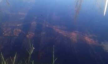 Imagem 6: FAZENDA À VENDA NO RIO SONO - TO - 2.863,28 HECTARES (DUPLA AP´TIDÃO