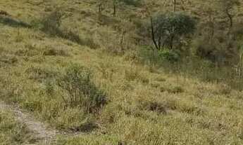 Imagem 7: TERRENOS COM UMA NEGOCIAÇÃO FLEXIVEL NA HORA DA COMPRA!!!